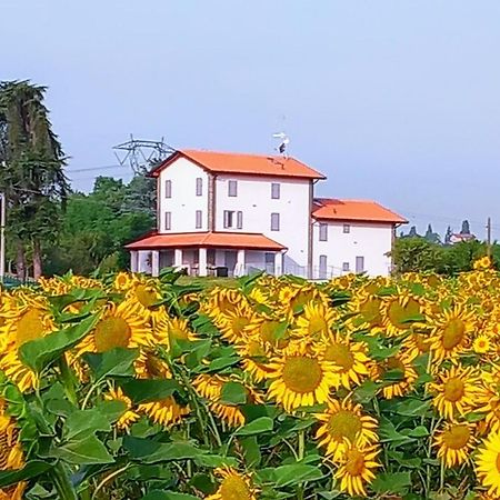 La Collinetta B&B Crespellano Luaran gambar