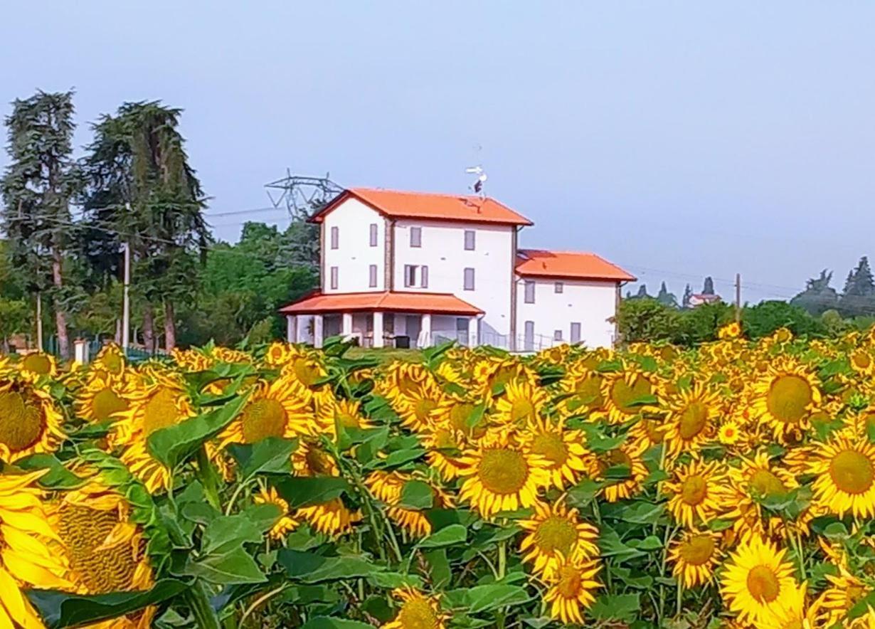La Collinetta B&B Crespellano Luaran gambar