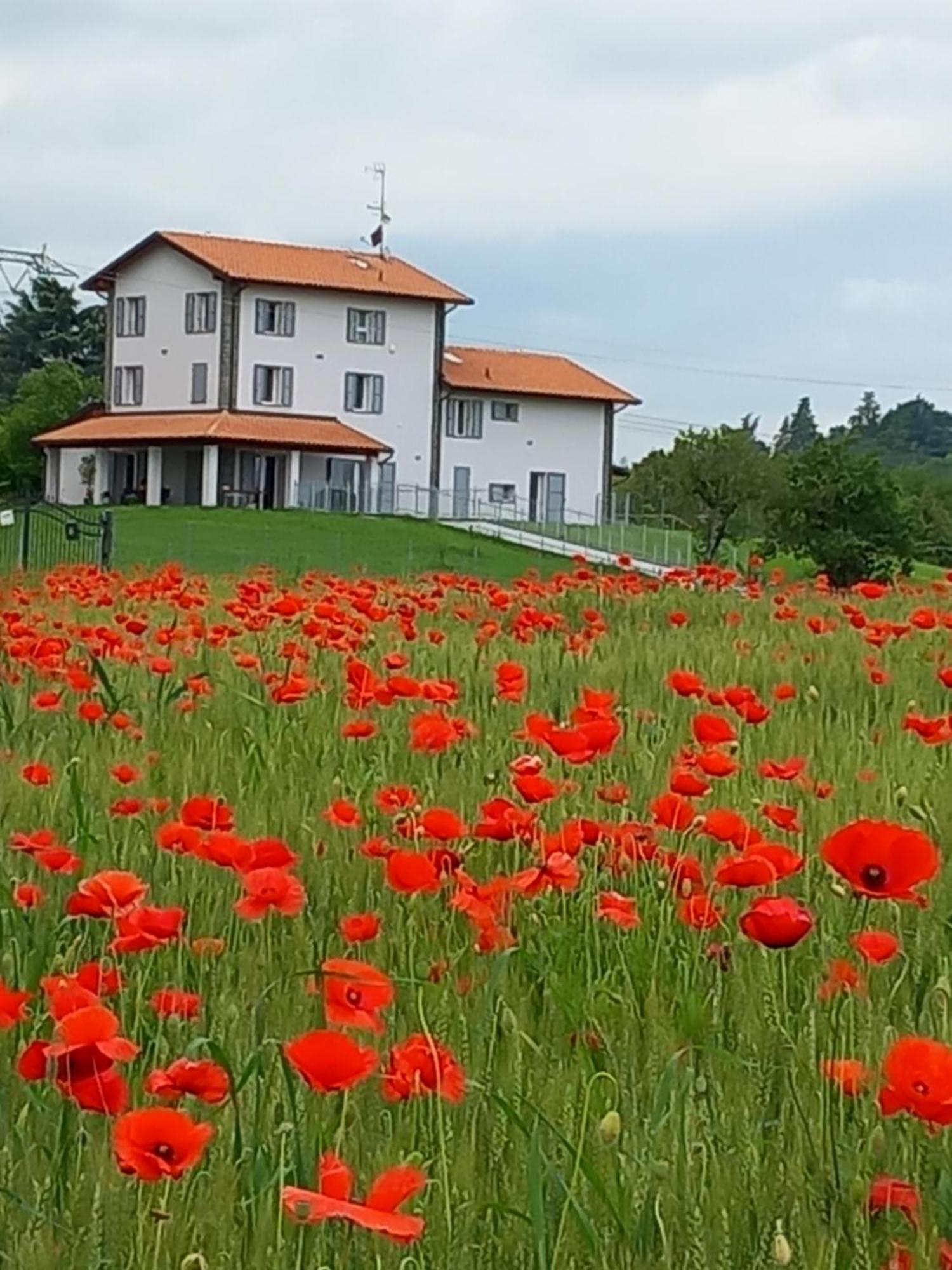 La Collinetta B&B Crespellano Luaran gambar